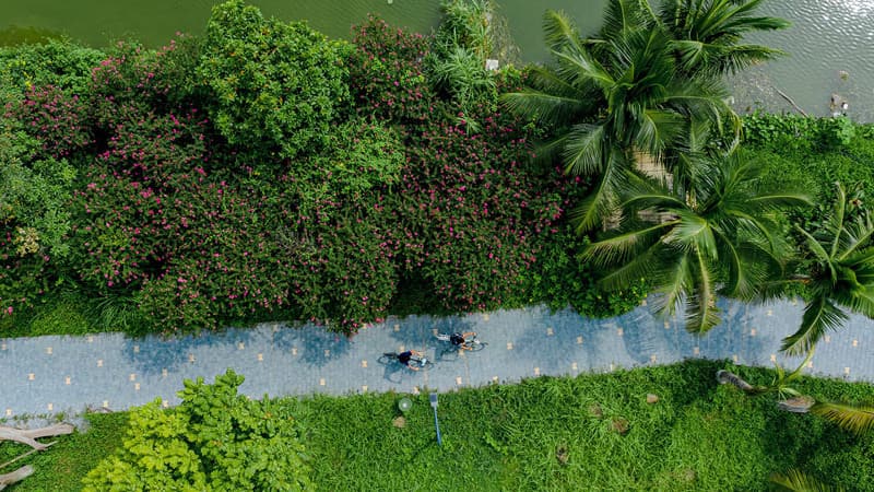 Nguyên tắc trồng cây tại Ecovillage Saigon River